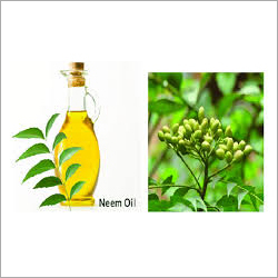 Neem Extract Oil